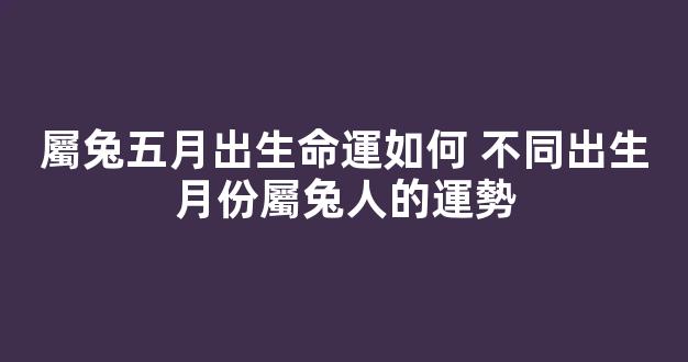 屬兔五月出生命運如何 不同出生月份屬兔人的運勢